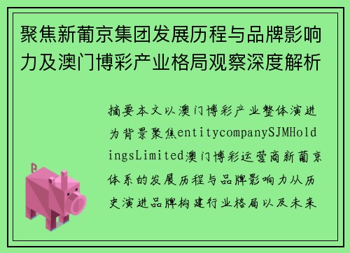 聚焦新葡京集团发展历程与品牌影响力及澳门博彩产业格局观察深度解析视角
